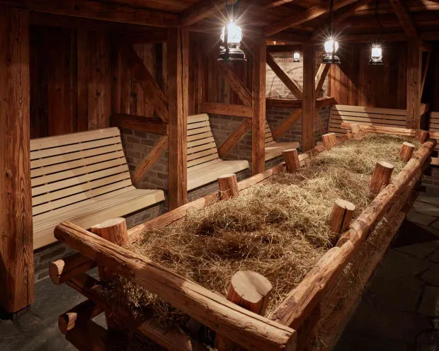 Thermen Bad Nieuweschans Hosauna 1 200