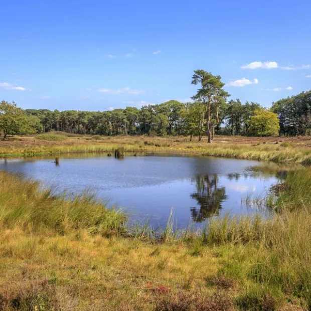 Thermen berendonck omgeving overasseltse en hatertse vennen vennenpad 13km min