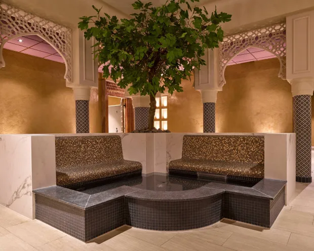 Thermen Berendonck Saunaplein 4 500