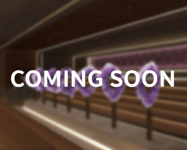 Thermen Berendonck sauna Amethist