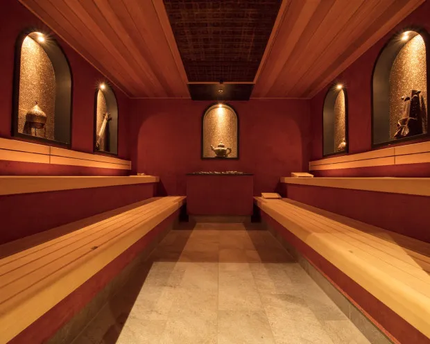 Thermen berendonck sauna maharadja 500