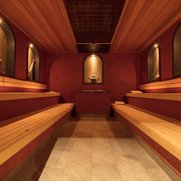 Thermen berendonck sauna maharadja 500