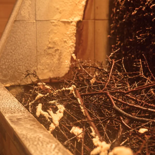 Thermen berendonck sauna saltarium 1 500