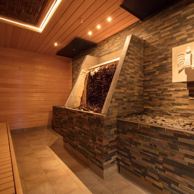 Thermen berendonck sauna saltarium 500